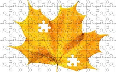 Autism, Asperger’s, ADHD and Autumn