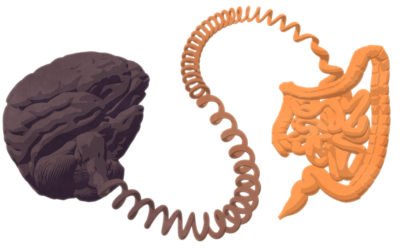 Probiotics for Autism