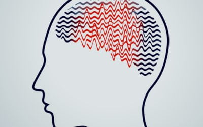 What Causes Autism – 2014