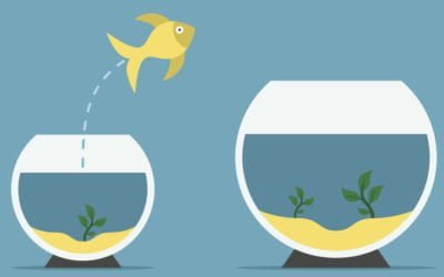 What to Expect from Biomedical Treatment for Autism and ADHD