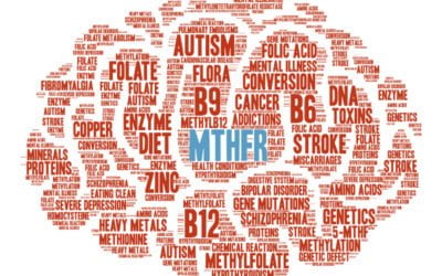 Autism & MTHFR Explained