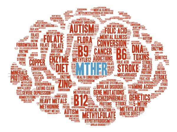 Autism & MTHFR Explained
