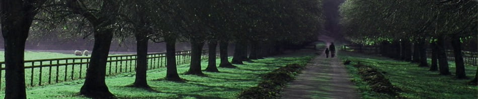 Two Hundred Child Development Stories