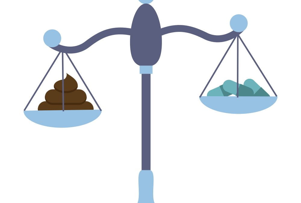 Fecal Transplant as an Autism Treatment