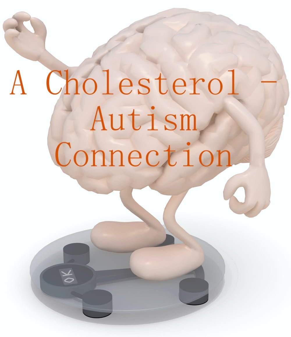 A Cholesterol – Autism Connection